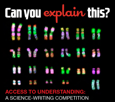 Access to Understanding 2013 